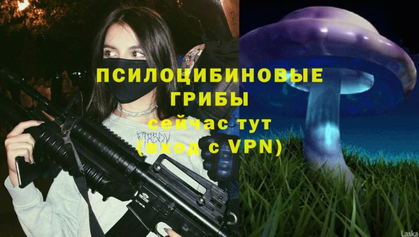 apvp Лиски