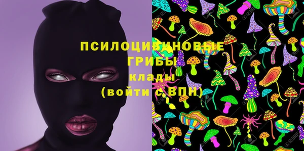 apvp Лиски