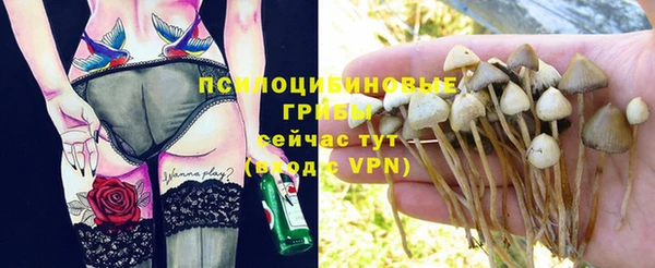 apvp Лиски
