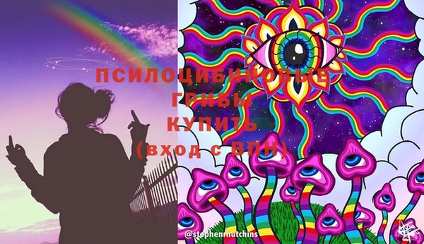 apvp Лиски