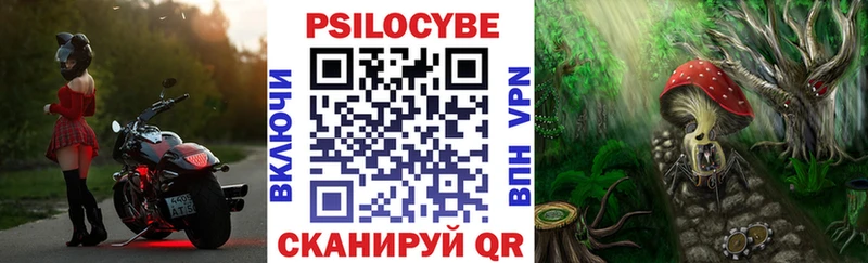 Псилоцибиновые грибы GOLDEN TEACHER  Купить  Яровое 